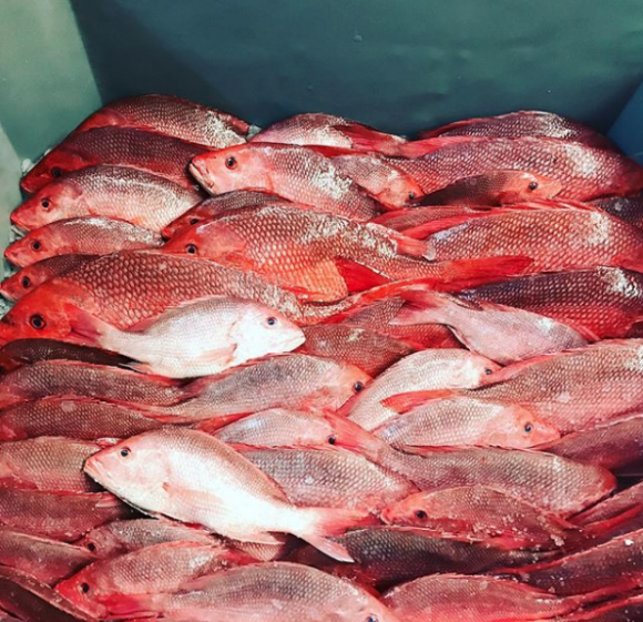 Hull's Seafood Restaurant and Market, The Best Seafood in Ormond Beach FL